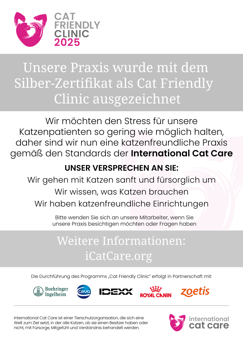 CFC Charter Silver (Deutsch)